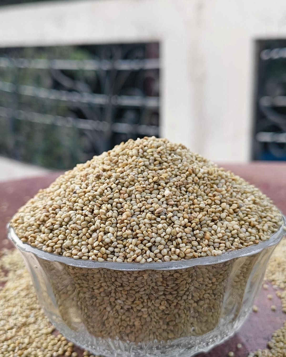 Browntop Millet whole grain portrait