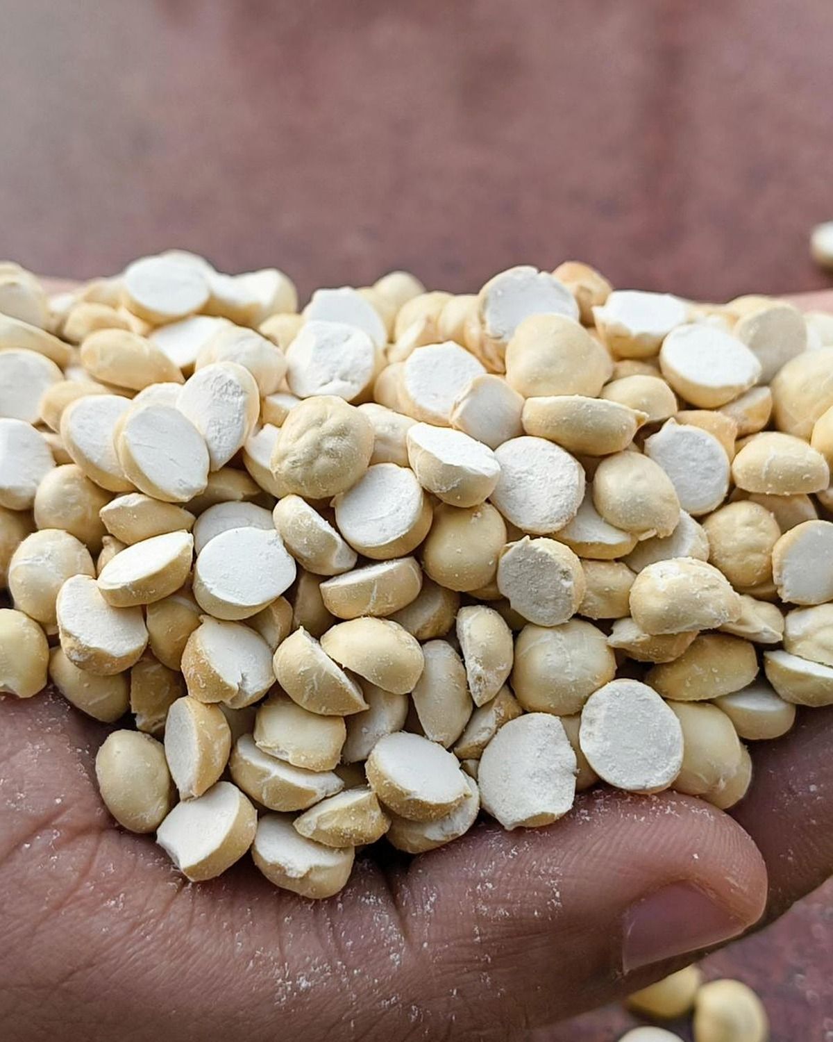 Real hands inspecting crisp dry-roasted fried gram