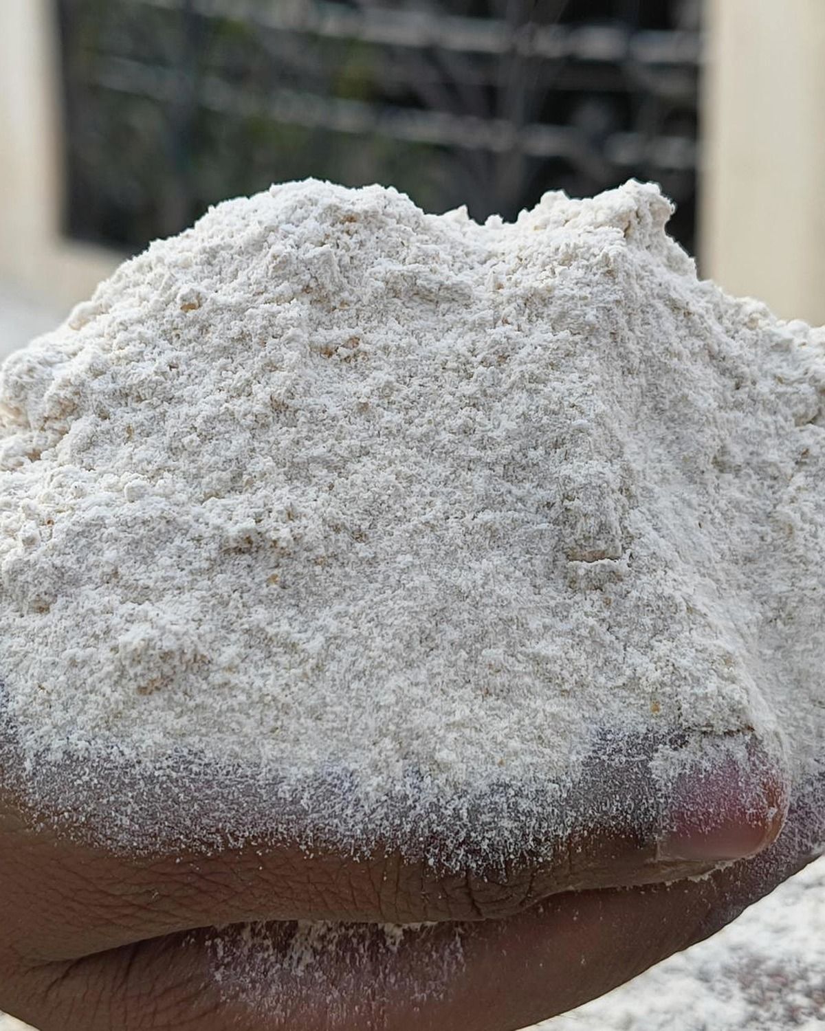 Real hands inspecting stone-ground whole wheat atta texture