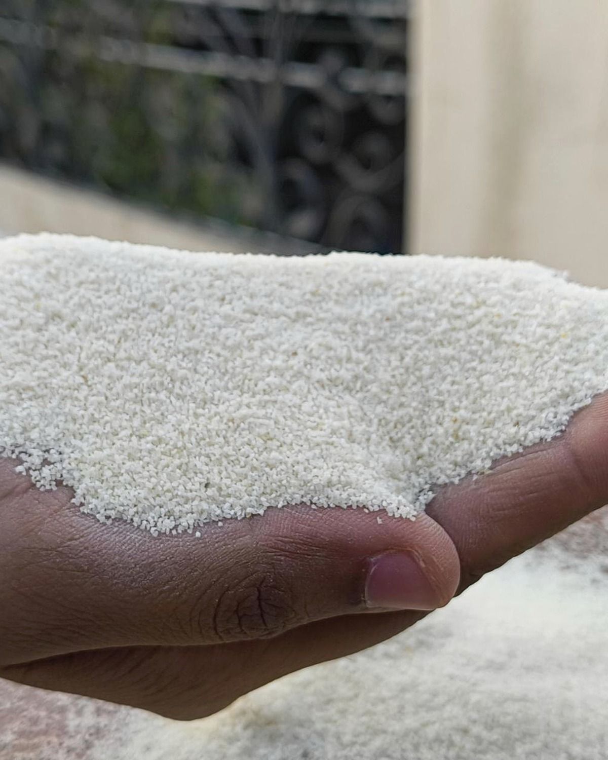 Real hands feeling crisp granulated wheat sooji particles